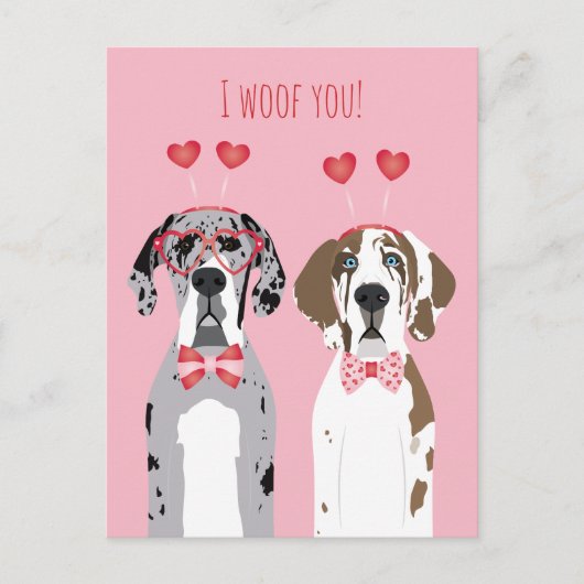 Ik wil jullie grote daanhonden roze rood briefkaart (Voorkant)