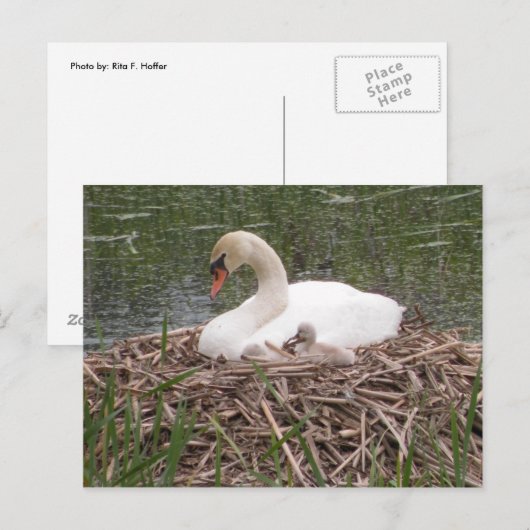 "Ik wil net als mama zijn" Briefkaart (Voorkant / Achterkant)