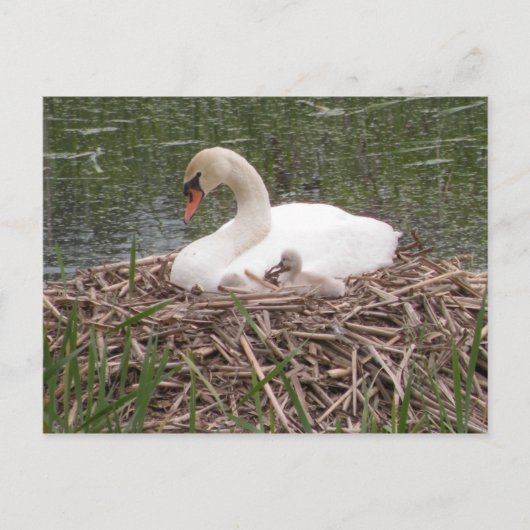 "Ik wil net als mama zijn" Briefkaart (Voorkant)