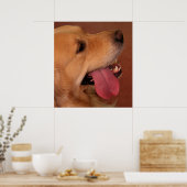 Ik wil nog steeds meer... poster (Keuken)