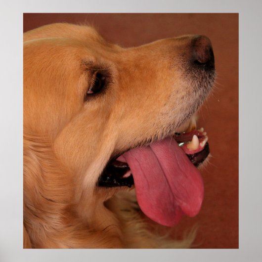 Ik wil nog steeds meer... poster (Voorkant)