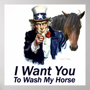 Ik wil u:  Om mijn Poster van het Paard te wassen