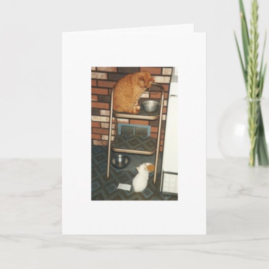 Ik wil U zijn wanneer ik groei! Bedankkaart (Voorkant)