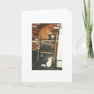 Ik wil U zijn wanneer ik groei! Bedankkaart