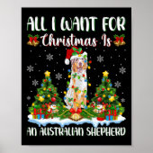 Ik wil voor Kerstmis een Australische herdershond  Poster (Voorkant)