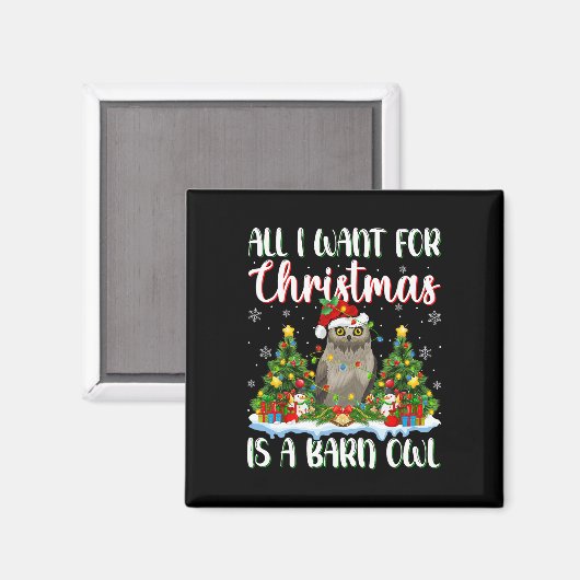 Ik wil voor Kerstmis is een schuur uil vogel kerst Magneet (Voorkant / Achterkant)