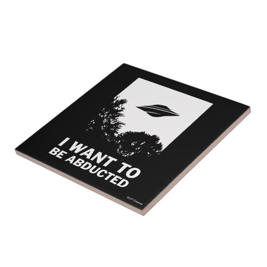 Ik wil worden ontvoerd tegeltje (Zijkant)