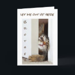 IK WIL ZEGGEN ** GELUKKIGE VERJAARDAG BROEDER *** KAART<br><div class="desc">IS HIJ OF ZIJ (SORRY DAT IK HET NIET WEET) SCHATTIG OF WAT? EN DUS "KLAAR" OM NAAR JE *** BROER *** TE GAAN OM "GELUKKIGE VERJAARDAG" TE ZEGGEN</div>