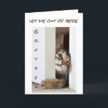 IK WIL ZEGGEN ** GELUKKIGE VERJAARDAG BROEDER *** KAART<br><div class="desc">IS HIJ OF ZIJ (SORRY DAT IK HET NIET WEET) SCHATTIG OF WAT? EN DUS "KLAAR" OM NAAR JE *** BROER *** TE GAAN OM "GELUKKIGE VERJAARDAG" TE ZEGGEN</div>