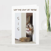 IK WIL ZEGGEN ** GELUKKIGE VERJAARDAG SIS *** KAART (Voorkant)