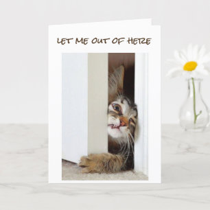 IK WIL ZEGGEN **HAPPY 16th BIRTHDAY** AAN "U" Kaart