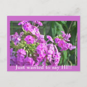 Ik wilde alleen maar zeggen. Briefkaart (Voorkant)