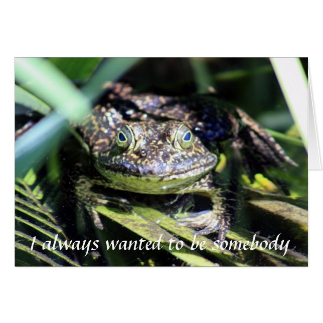 Ik wilde altijd een kaartje zijn. (Voorkant Horizontaal)