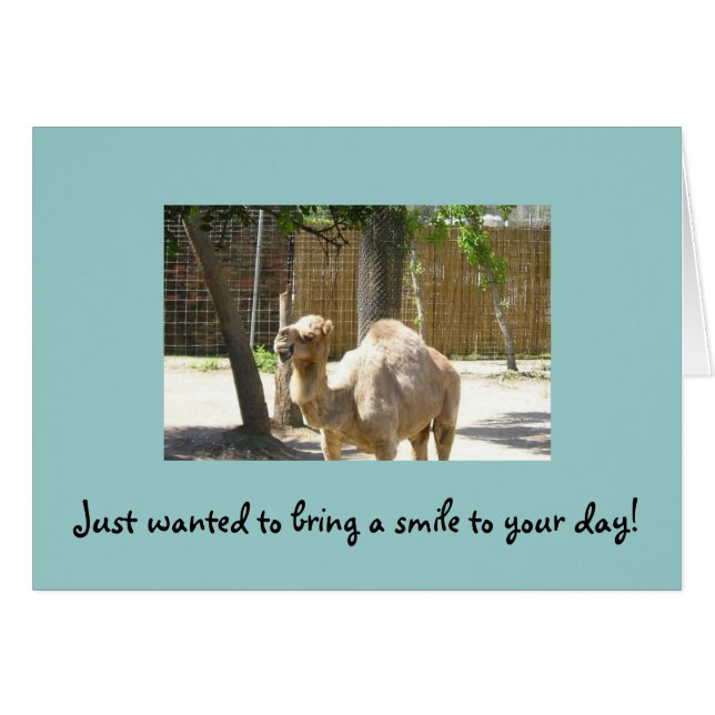 Ik wilde gewoon een glimlach op je dag brengen (Voorkant Horizontaal)