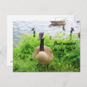 IK WILDE GEWOON ZEGGEN "HI!" briefkaart (Voorkant / Achterkant)