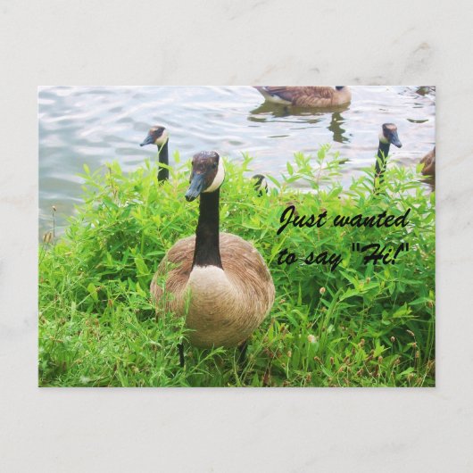 IK WILDE GEWOON ZEGGEN "HI!" briefkaart (Voorkant)