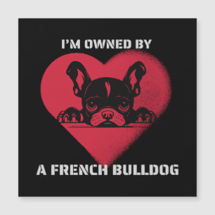Ik word beheerst door een Franse Bulldog
