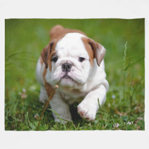 IK WORD EEN "LEREN NEK" FLEECE DEKEN