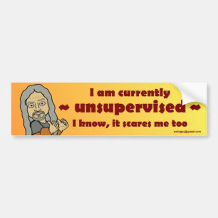 Ik word op dit moment niet in de gaten gehouden... bumpersticker