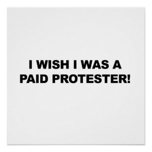 Ik wou dat ik een betaalde protester was perfect poster