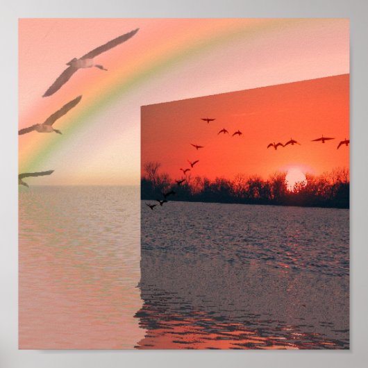 Ik wou dat ik Fly kon Poster (Voorkant)