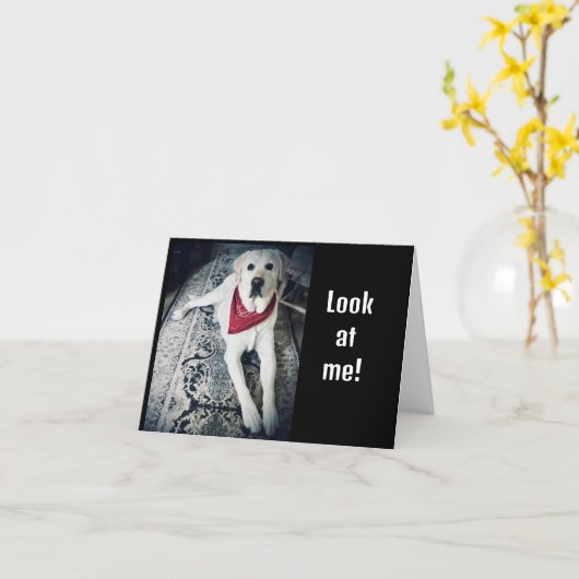 IK WOU DAT IK "GELUKKIGE VERJAARDAG" PERSOONLIJK K KAART (Gele Bloem)