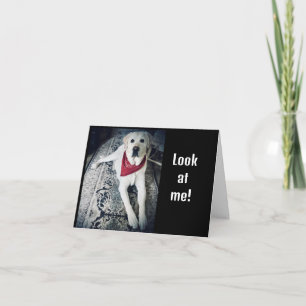 IK WOU DAT IK "GELUKKIGE VERJAARDAG" PERSOONLIJK K KAART