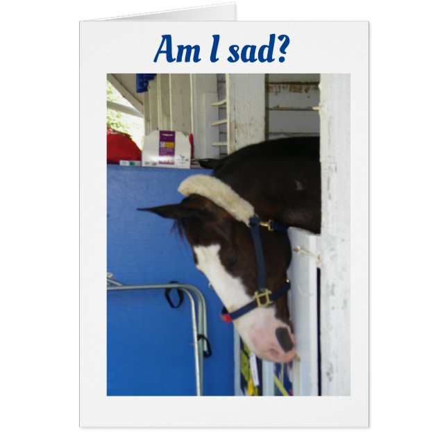 IK WOU DAT IK JE KON ZEGGEN *HAPPY BIRTHDAY* IN PE (Voorkant)