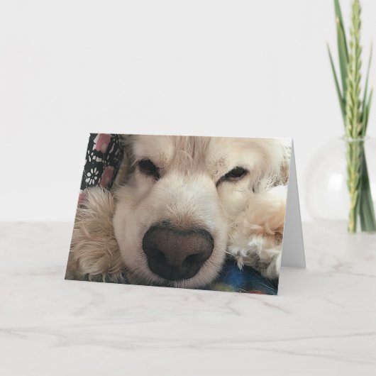 IK WOU DAT IK JE KON ZIEN VOOR JE VERJAARDAG KAART (Voorkant)