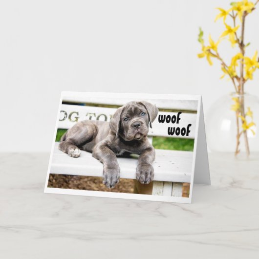 IK WOU DAT IK "KON ZINGEN" GEFELICITEERD MET JE VE KAART (Gele Bloem)