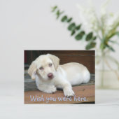Ik wou dat je hier Gele Lab Puppy was Briefkaart (Staand voorkant)