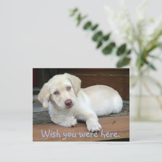 Ik wou dat je hier Gele Lab Puppy was Briefkaart (Staand voorkant)
