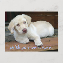 Ik wou dat je hier Gele Lab Puppy was Briefkaart