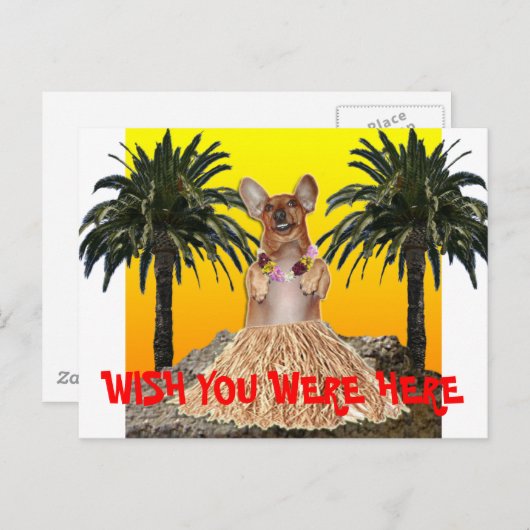 Ik wou dat je hier in het briefkaart was (Voorkant / Achterkant)