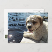 Ik wou dat je hier in het briefkaart was (Voorkant / Achterkant)