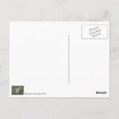 Ik wou dat je hier in het briefkaart was (Achterkant)