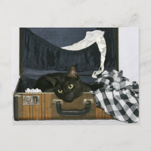 Ik wou dat je hier was briefkaart