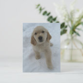 Ik wou dat je hier was briefkaart (Staand voorkant)