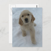 Ik wou dat je hier was briefkaart (Voorkant / Achterkant)