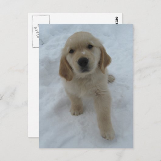 Ik wou dat je hier was briefkaart (Voorkant / Achterkant)