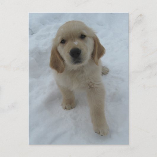 Ik wou dat je hier was briefkaart (Voorkant)