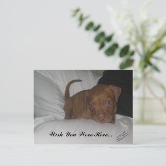 Ik wou dat je hier was... briefkaart (Staand voorkant)