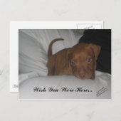 Ik wou dat je hier was... briefkaart (Voorkant / Achterkant)