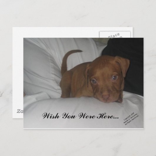 Ik wou dat je hier was... briefkaart (Voorkant / Achterkant)