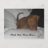 Ik wou dat je hier was... briefkaart (Voorkant)