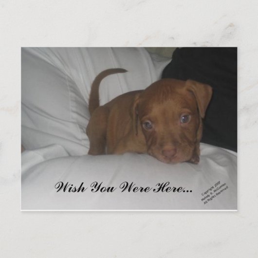 Ik wou dat je hier was... briefkaart (Voorkant)