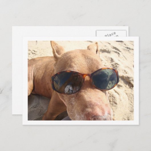 Ik wou dat je hier was briefkaart (Voorkant / Achterkant)