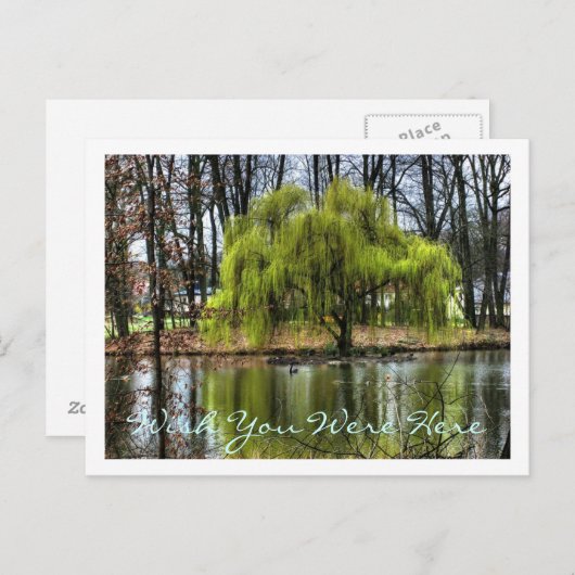 Ik wou dat je hier was briefkaart (Voorkant / Achterkant)