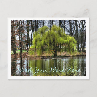 Ik wou dat je hier was briefkaart