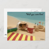 Ik wou dat je hier was! briefkaart (Voorkant / Achterkant)